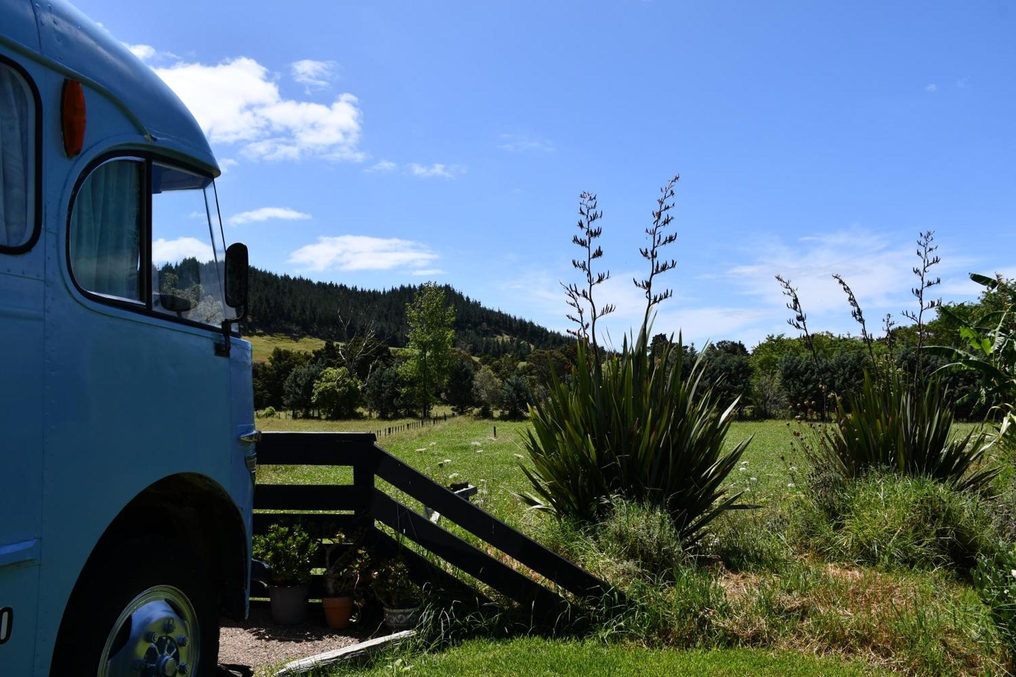 Evi The School Bus At Oromahoe Downs Farm Puketona Eksteriør bilde