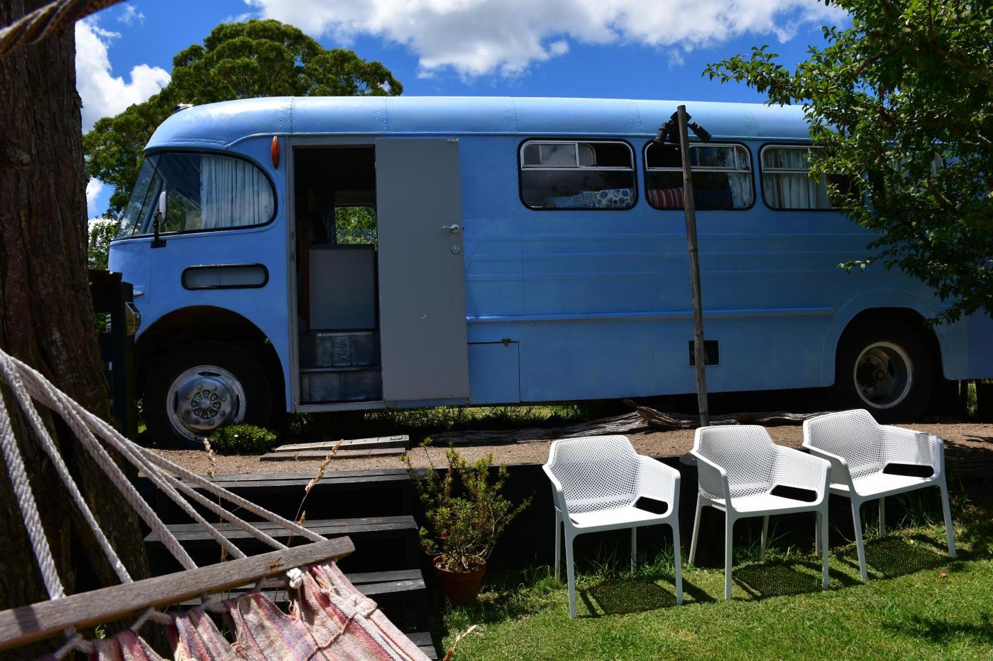 Evi The School Bus At Oromahoe Downs Farm Puketona Eksteriør bilde