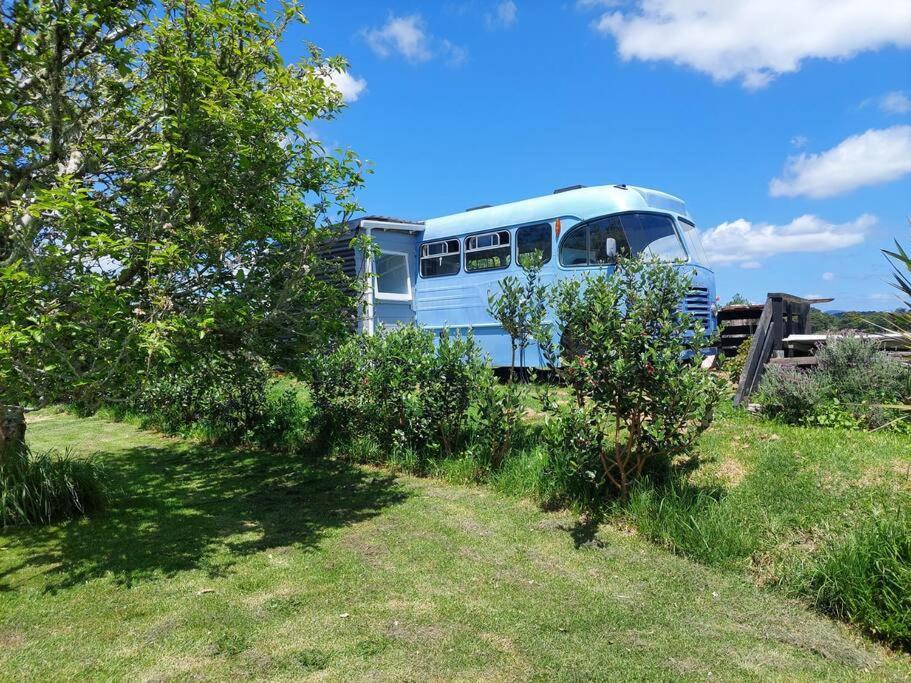 Evi The School Bus At Oromahoe Downs Farm Puketona Eksteriør bilde
